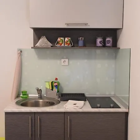 Ciric בית הארחה 4*